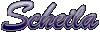 Scheila(シェイラ)